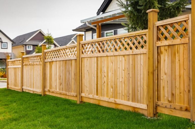 fence-1024x681-2810338402